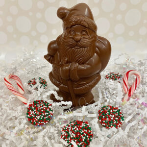 Milk Chocolate Santa with Stick | Reppert's Candy