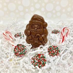 Milk Chocolate Short Chubby Santa | Reppert's Candy